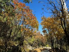 -阳台山自然风景区