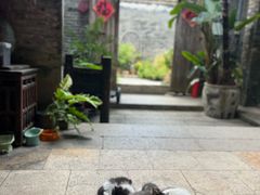-老屋咖啡