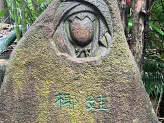 -呀诺达热带雨林