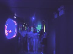 -南昌海洋公园