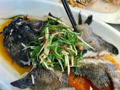 -众味海鲜大排档·活海鲜·潮汕味(南澳店)