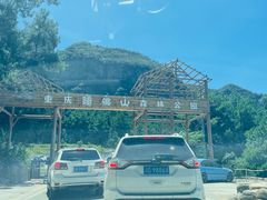 -重庆睡佛山森林公园