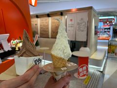 -野人先生现做冰淇淋(北京王府井东方新天地店)