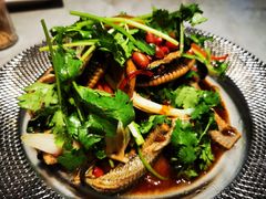 捞鳝片-啫神·广州地标美食(北京路店)