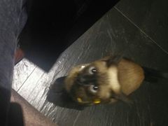 -吱咖啡西式简餐