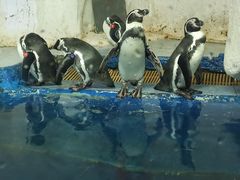 -太平洋海底世界