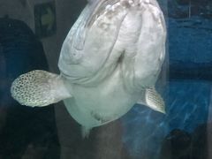 -苏州海洋馆