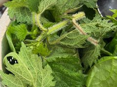 -黔府豆米火锅野菜馆(南马店)