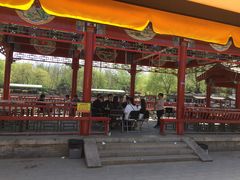 -尚庄度假村·庭台树下·户外烧烤·团建CS·轰趴营地(上庄水库店)