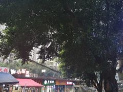 -小板凳(四公里店)