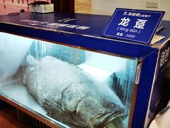 -御唐府海珊瑚主题餐厅