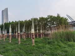 -南京眼步行桥