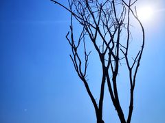 -盘龙城国家考古遗址公园