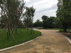 -府河摄影公园