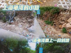 -广东惠东海龟国家级自然保护区