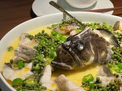 青青椒麻龙胆鱼-CHIC1699远洋私厨
