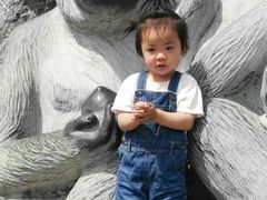 -石家庄市动物园