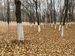 -长春世界雕塑园冰雪艺术天地