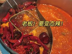 -青瓷火锅料理(西单大悦城店)