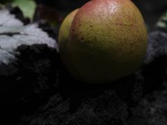 -曲廊院(东四十一条店)