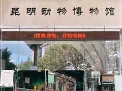 -昆明动物博物馆