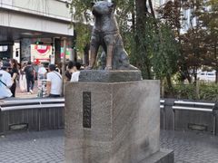 -涩谷全向十字路口