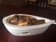 野生菊黄-莆鑫海鲜城(浏河店)