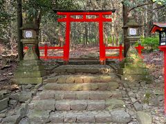 -奈良公园