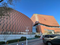 -中国宋庆龄青少年科技文化交流中心