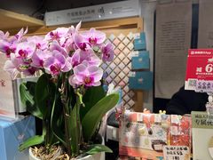 -猫的天空之城概念书店(苏州诚品店)