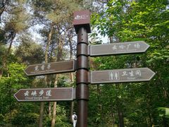 -铁山坪森林公园