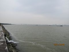 -大湾区中央湿地公园