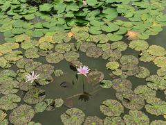 -国家植物园南园