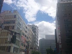 -秋叶原电器街