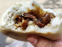 -东北农业大学