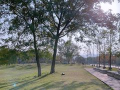 -金海湾滨江公园