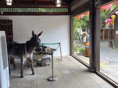 -天目湖山水园