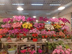 -双季花艺园艺市场(浦东店)