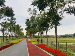 -上海长兴岛郊野公园