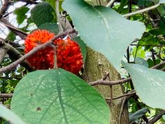 -仙海旅游度假区