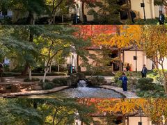 -狼山风景名胜区