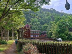 -野象谷景区