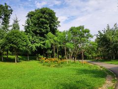 -白鹭湾湿地公园