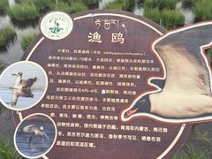 -花湖生态旅游区