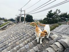 -前叁門