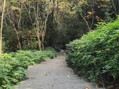 -仙岳公园