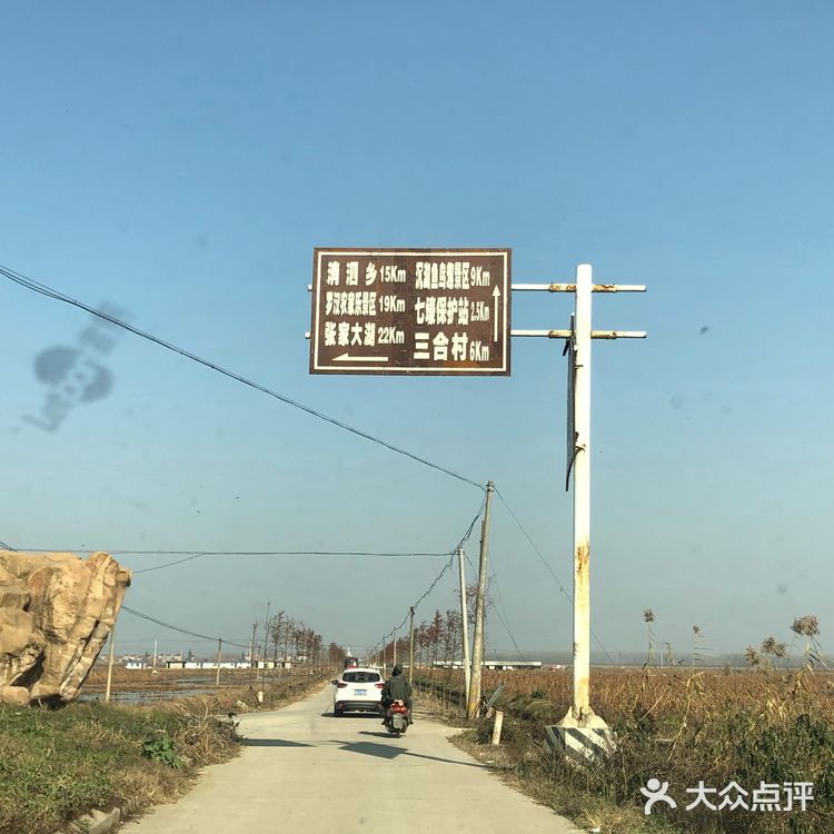 武汉小众景点沉湖湿地公园一日游攻略