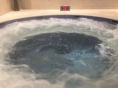 -水晶之星洗浴温泉汗蒸