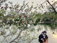 -无锡蠡湖国家湿地公园-蠡园