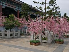 -厦门方特梦幻王国